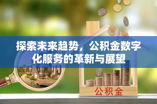 海勃湾探索未来趋势，公积金数字化服务的革新与展望