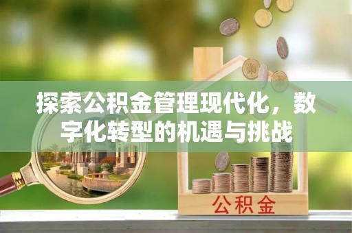 海勃湾探索公积金管理现代化，数字化转型的机遇与挑战
