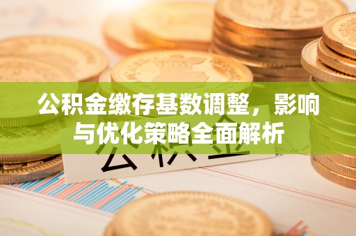 海勃湾公积金缴存基数调整，影响与优化策略全面解析
