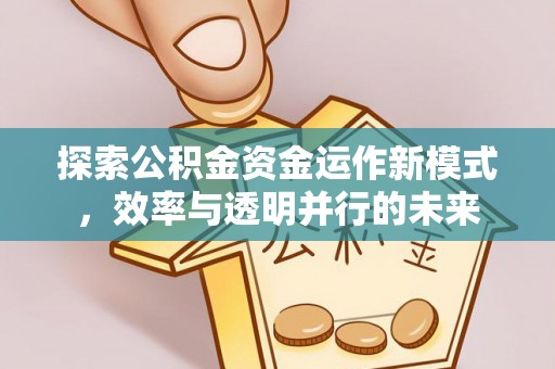 海勃湾探索公积金资金运作新模式，效率与透明并行的未来