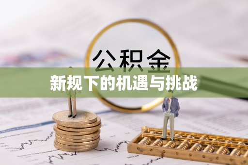 海勃湾新规下的机遇与挑战