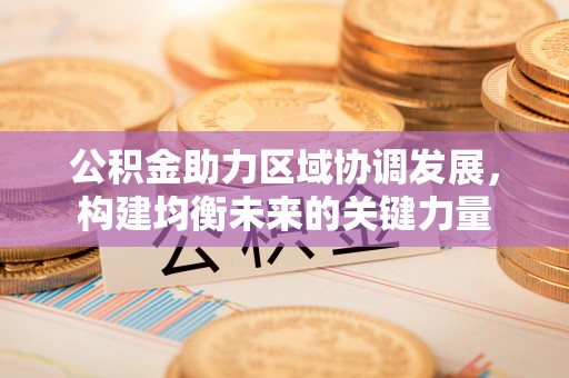 海勃湾公积金助力区域协调发展，构建均衡未来的关键力量