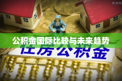 海勃湾公积金国际比较与未来趋势