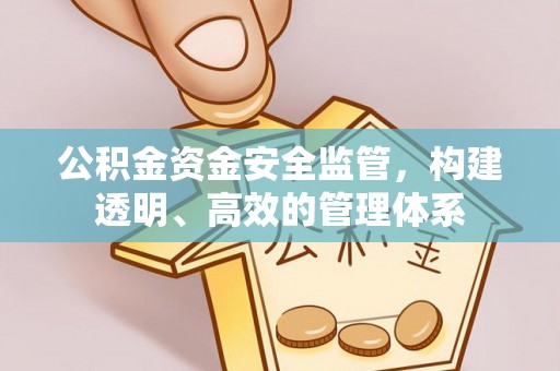 海勃湾公积金资金安全监管，构建透明、高效的管理体系