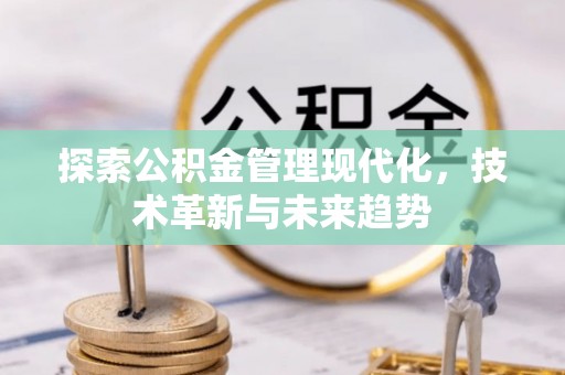 海勃湾探索公积金管理现代化，技术革新与未来趋势