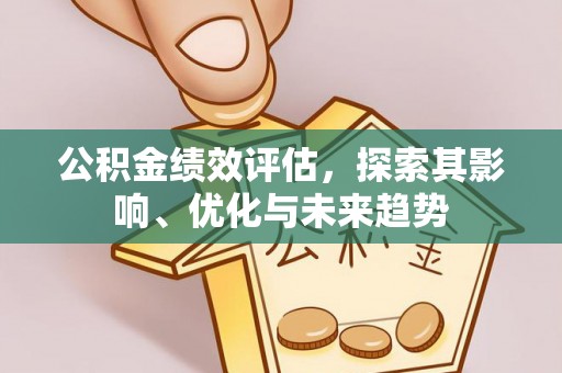 海勃湾公积金绩效评估，探索其影响、优化与未来趋势