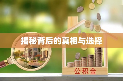 海勃湾揭秘背后的真相与选择