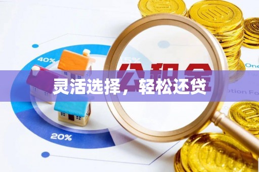 海勃湾灵活选择，轻松还贷
