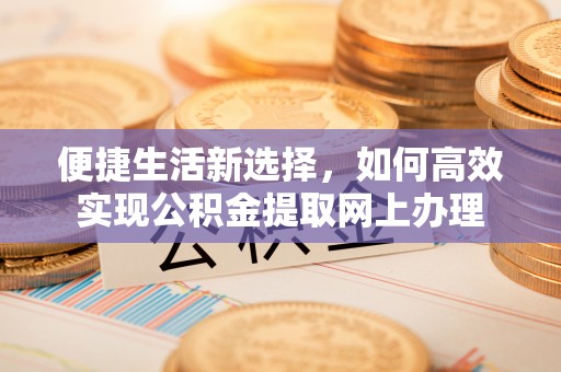 海勃湾便捷生活新选择，如何高效实现公积金提取网上办理