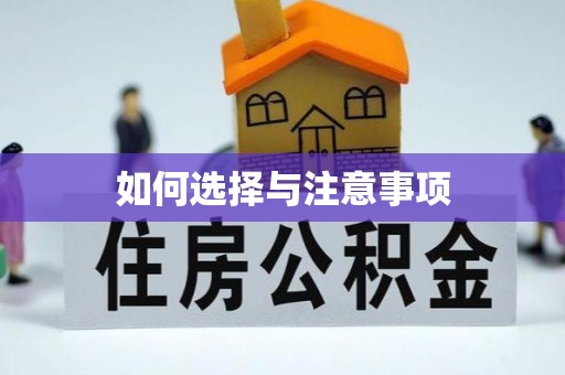 海勃湾如何选择与注意事项