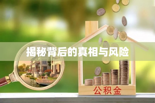 海勃湾揭秘背后的真相与风险