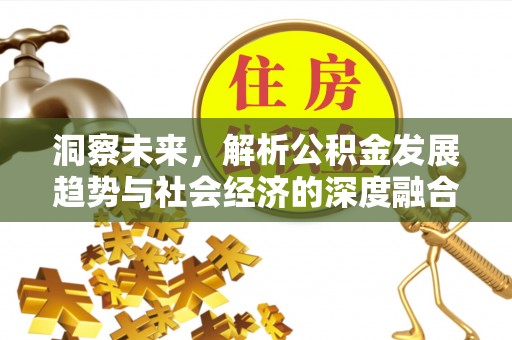 海勃湾洞察未来，解析公积金发展趋势与社会经济的深度融合
