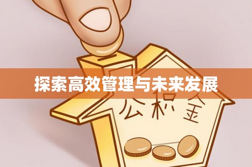 海勃湾探索高效管理与未来发展