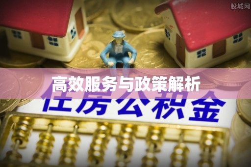 海勃湾高效服务与政策解析