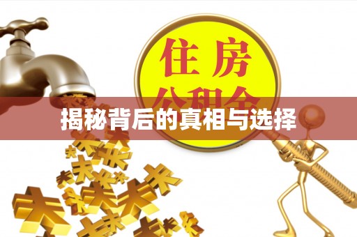 海勃湾揭秘背后的真相与选择
