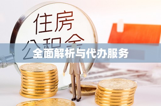 海勃湾全面解析与代办服务