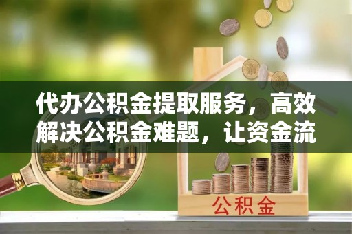 海勃湾代办公积金提取服务，高效解决公积金难题，让资金流动更自由