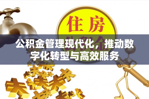 海勃湾公积金管理现代化，推动数字化转型与高效服务