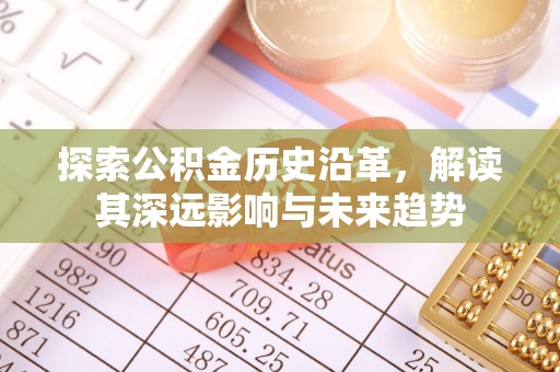 海勃湾探索公积金历史沿革，解读其深远影响与未来趋势