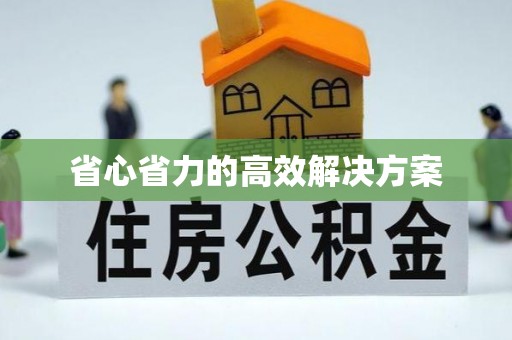 海勃湾省心省力的高效解决方案