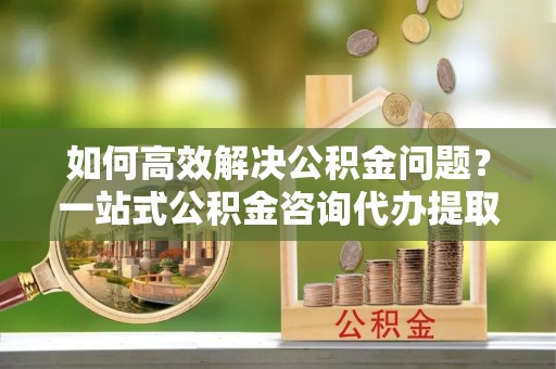 海勃湾如何高效解决公积金问题？一站式公积金咨询代办提取服务全解析
