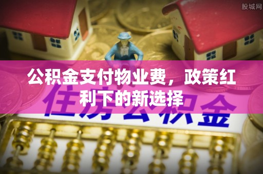 海勃湾公积金支付物业费，政策红利下的新选择
