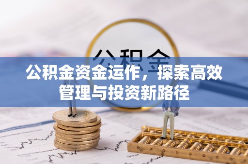 海勃湾公积金资金运作，探索高效管理与投资新路径
