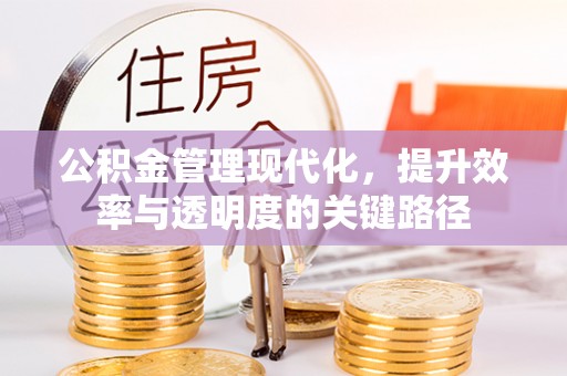 海勃湾公积金管理现代化，提升效率与透明度的关键路径