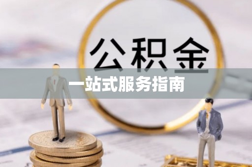 海勃湾一站式服务指南