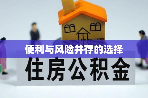 海勃湾便利与风险并存的选择