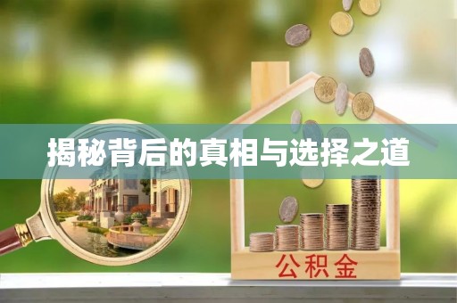 海勃湾揭秘背后的真相与选择之道
