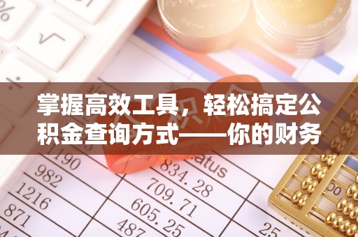 海勃湾掌握高效工具，轻松搞定公积金查询方式——你的财务助手